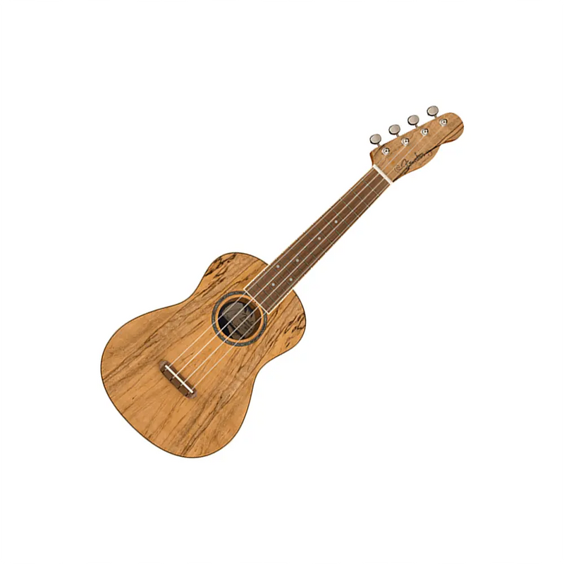 Carica immagine in Galleria Viewer, FENDER Zuma Exotic Ukulele Natural Spalted Maple Concerto