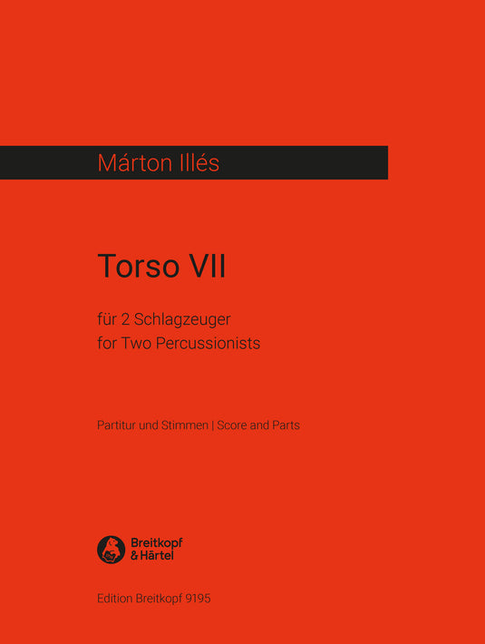 ILLES - Torso VII