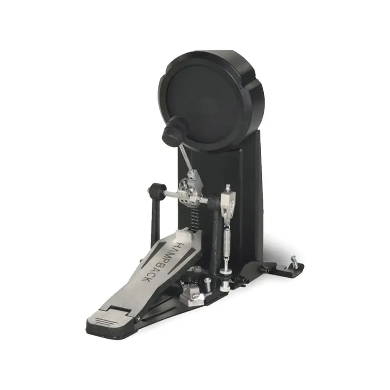Carica immagine in Galleria Viewer, HAMPBACK ACE-510