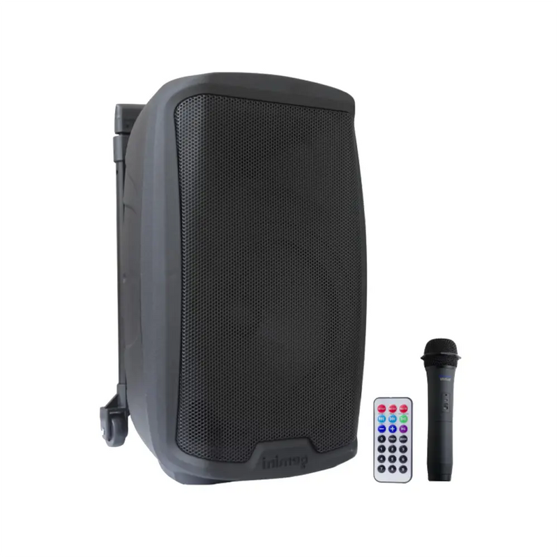 Carica immagine in Galleria Viewer, GEMINI AS-2110 TO GO Portable Powered Bluetooth Speaker