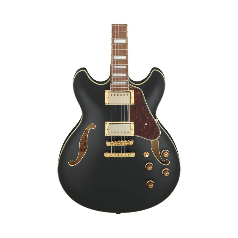 Carica immagine in Galleria Viewer, IBANEZ AS73GBKF