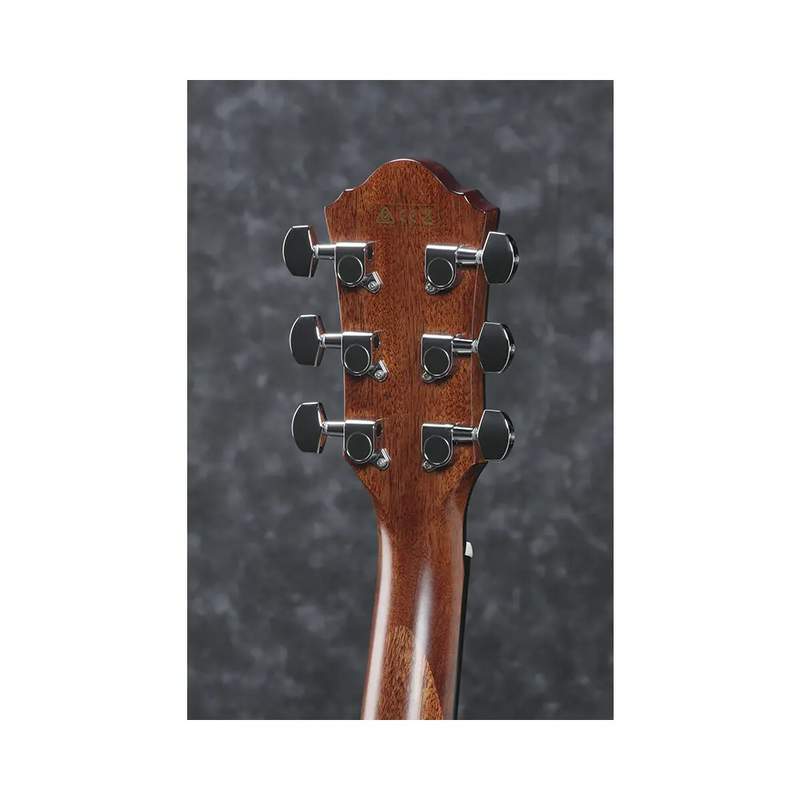 Carica immagine in Galleria Viewer, IBANEZ AEG200LGS Amplificata