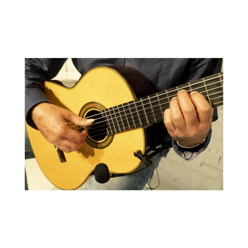 Carica immagine in Galleria Viewer, AUDIO DESIGN PRO PA MAG Microfono per Chitarre Acustiche/Classiche