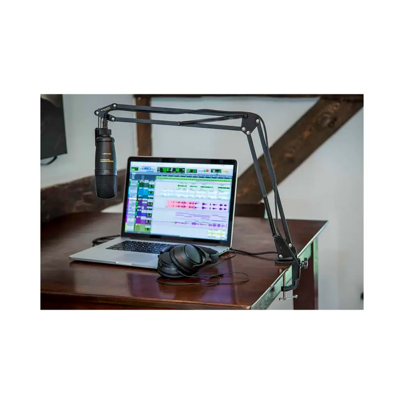 Carica immagine in Galleria Viewer, MARANTZ Microfono USB con asta snodabile