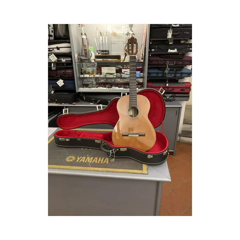 Carica immagine in Galleria Viewer, PRIVADA P18S Con Astuccio *USATO*