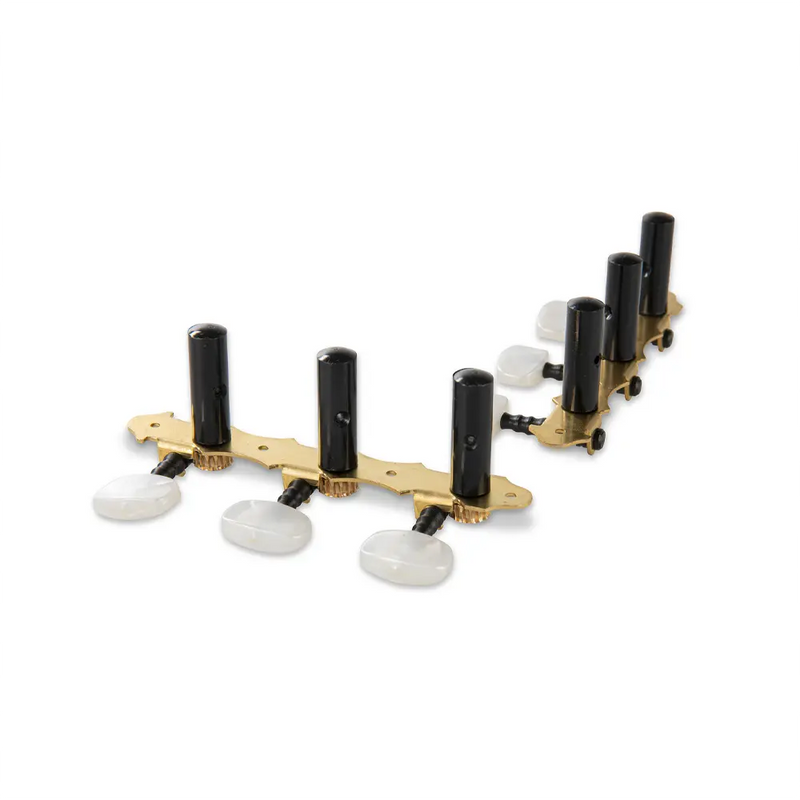 Carica immagine in Galleria Viewer, GEWA MECCANICA chitarra classica Pro Arte