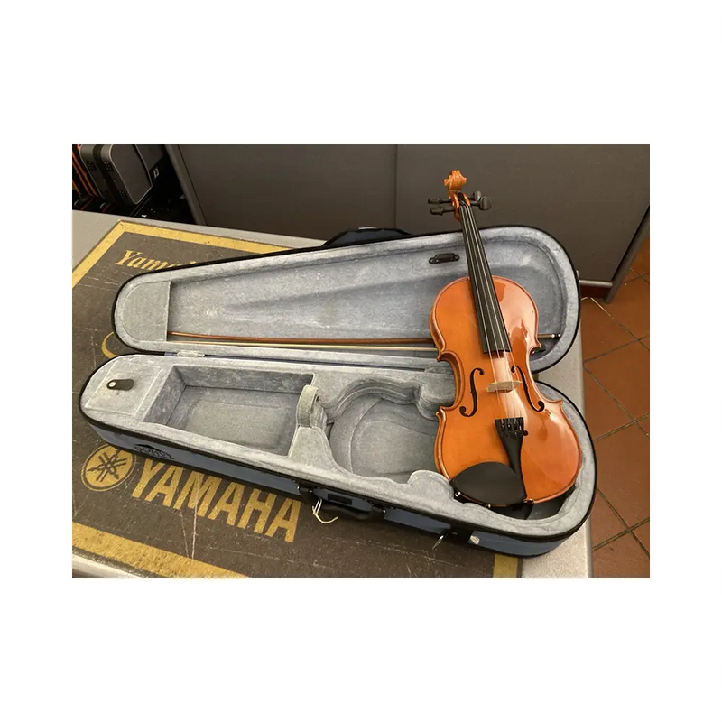 Carica immagine in Galleria Viewer, DOMUS RIALTO 3/4 VIOLINO con Astuccio *USATO*