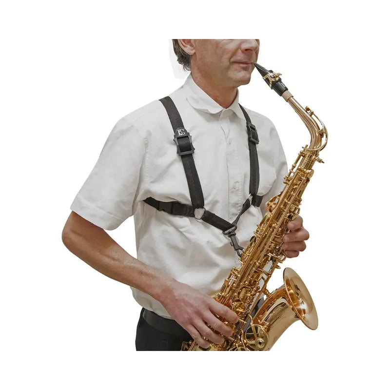 Carica immagine in Galleria Viewer, BG S43SH SAX ALTO/TENORE