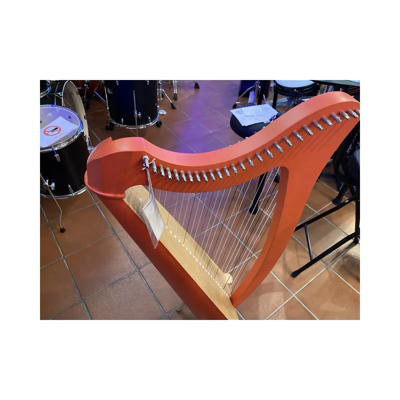 Carica immagine in Galleria Viewer, ARPA SALVI JUNO 27 Ex Noleggio