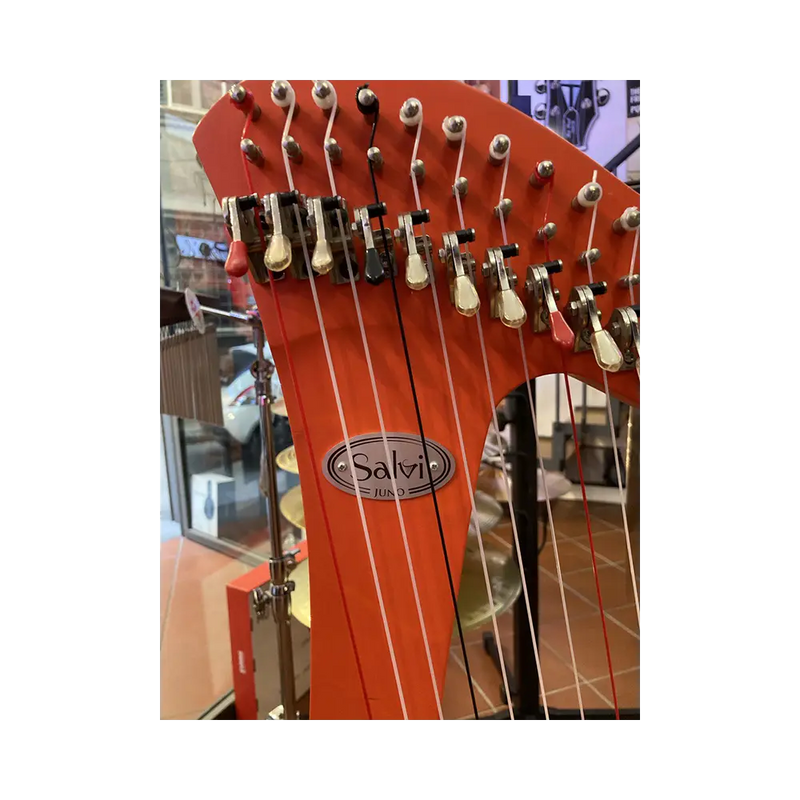 Carica immagine in Galleria Viewer, ARPA SALVI JUNO 27 Ex Noleggio