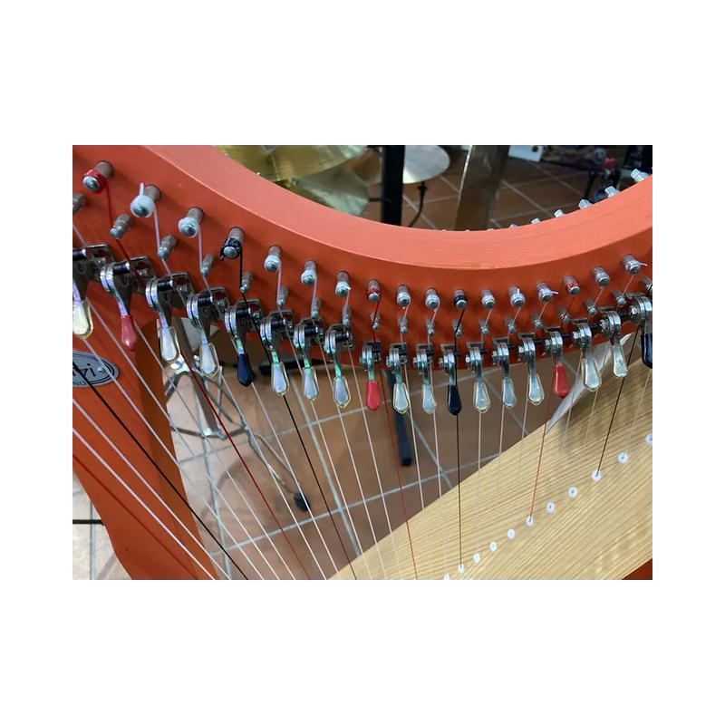 Carica immagine in Galleria Viewer, ARPA SALVI JUNO 27 Ex Noleggio