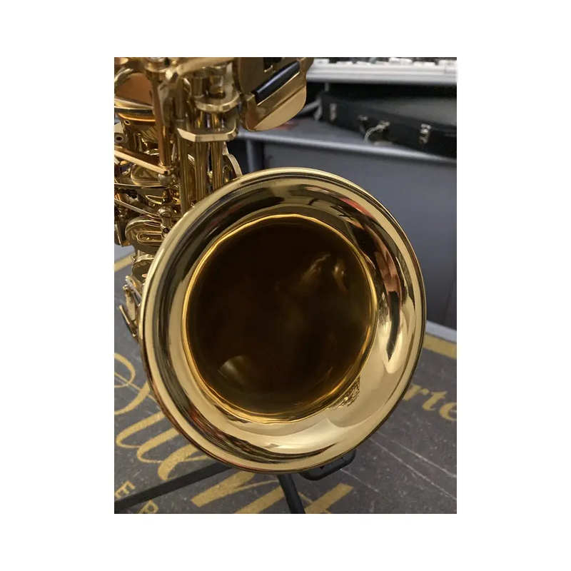 Carica immagine in Galleria Viewer, FLORET MPAS 301 SAX ALTO Mib CON ASTUCCIO SEMIRIGIDO *USATO*