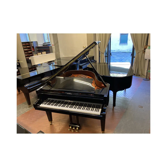SCHIMMEL 174T *USATO*