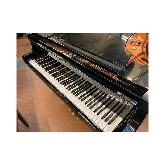 SCHIMMEL 174T *USATO*