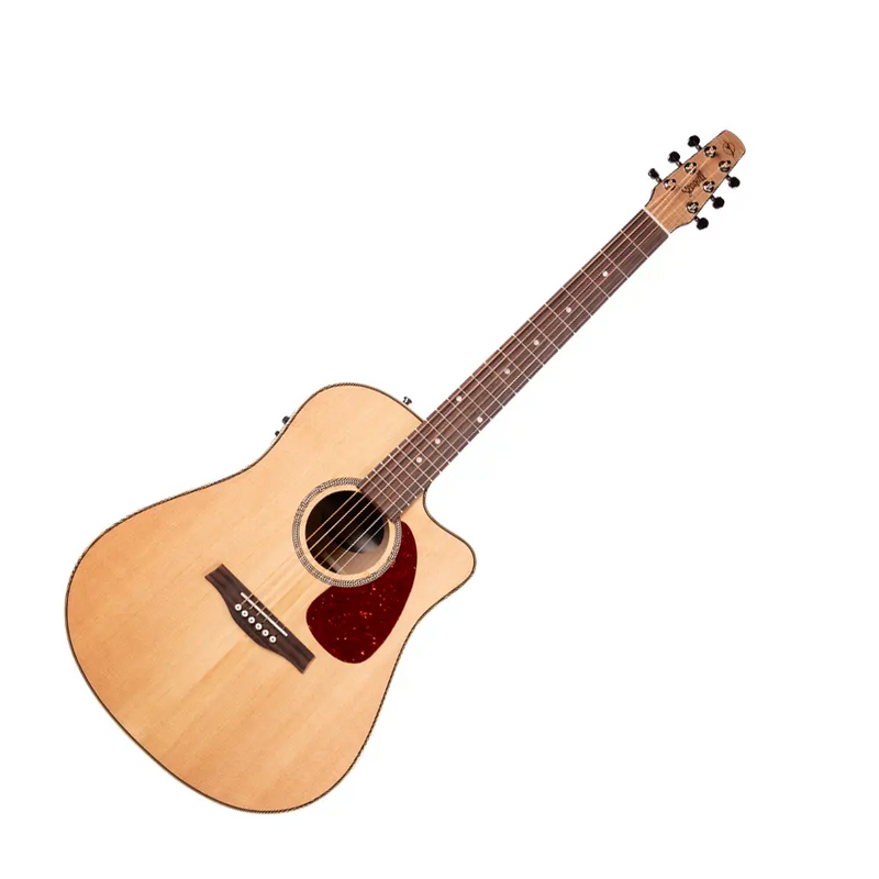 Carica immagine in Galleria Viewer, SEAGULL Performer CW HG Presys II