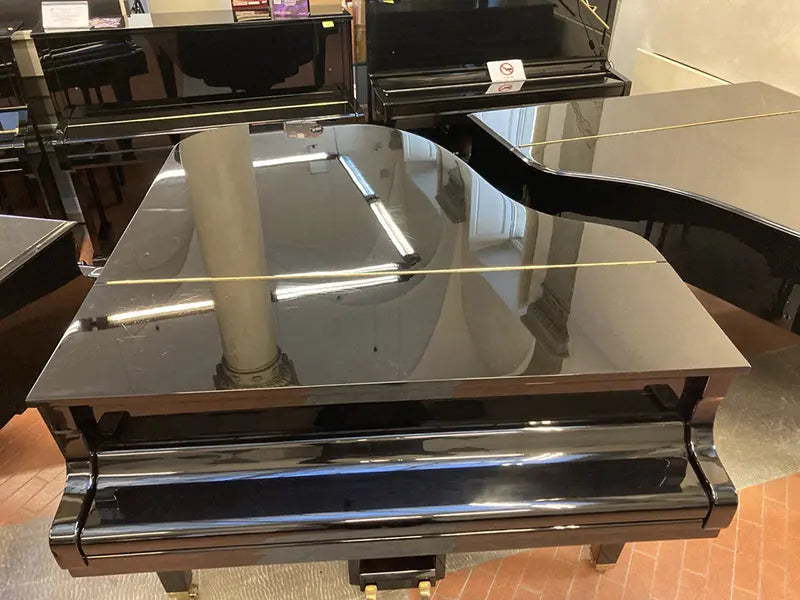Carica immagine in Galleria Viewer, SCHIMMEL SP174 *USATO*