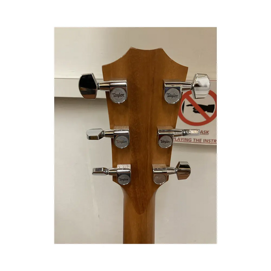 TAYLOR 214 CE con Borsa Originale MANCINA *USATO*