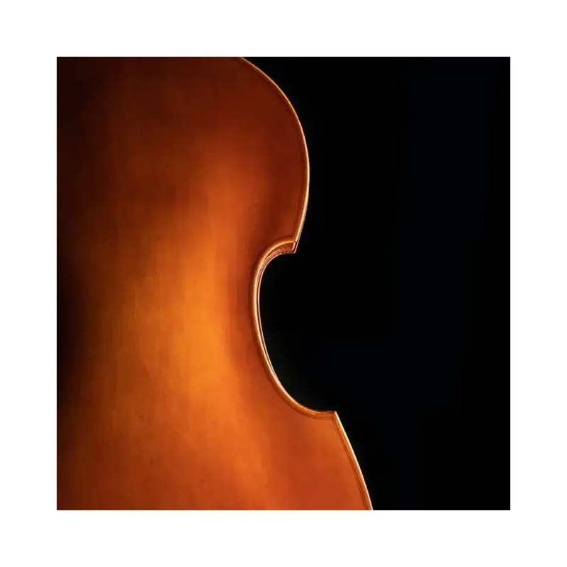 Carica immagine in Galleria Viewer, EASTMAN CONTRABBASSO VB50SBC 3/4