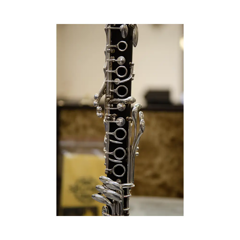 Carica immagine in Galleria Viewer, SELMER 10S 21 Chiavi