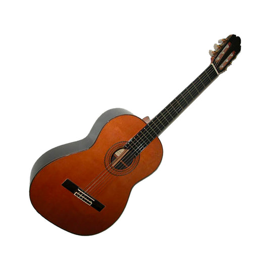 PRIVADA P50 CONCERTO