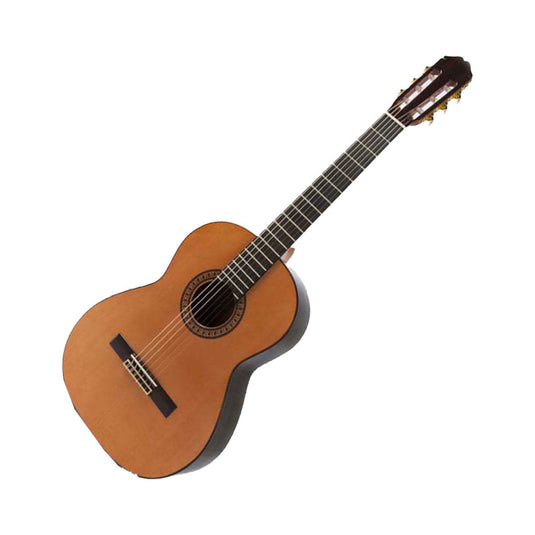 RAIMUNDO 146 CONCERTO