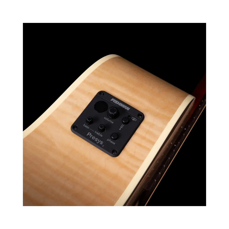 Carica immagine in Galleria Viewer, SEAGULL Performer CW HG Presys II