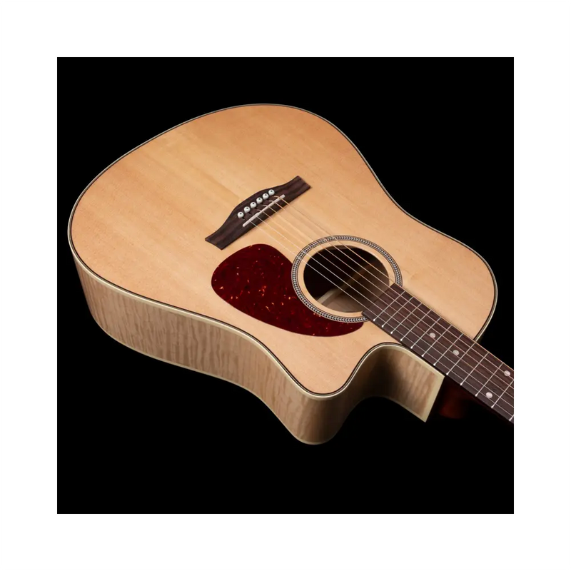 Carica immagine in Galleria Viewer, SEAGULL Performer CW HG Presys II