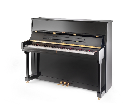 STEINBACH 115 SILENT NERO