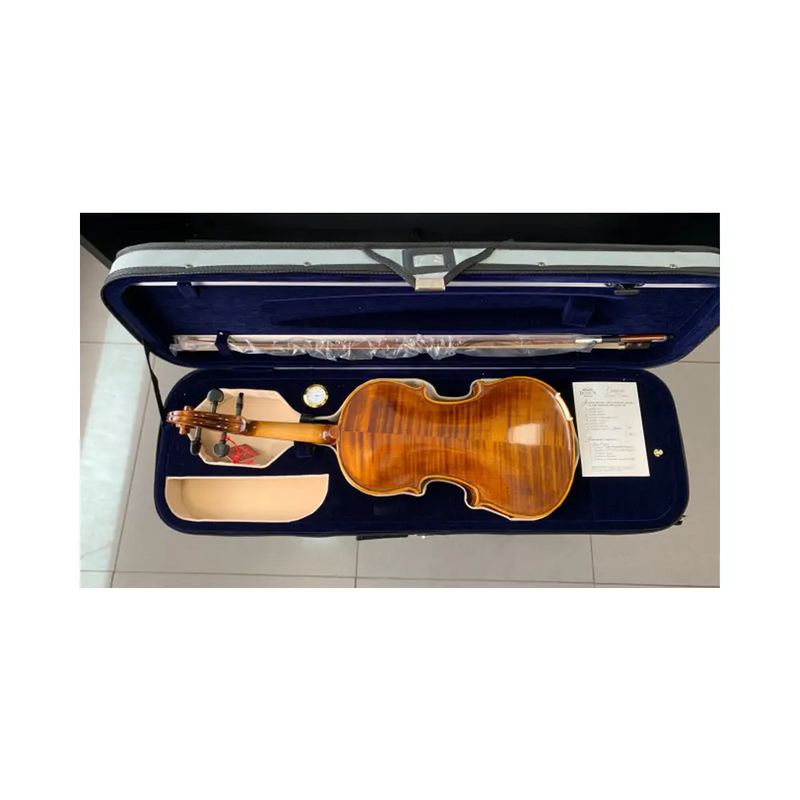 Carica immagine in Galleria Viewer, DOMUS VIOLINO ACCADEMIA II VL4500 4/4