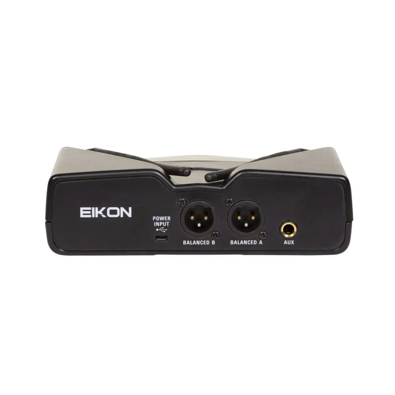 Carica immagine in Galleria Viewer, EIKON WM300DM RADIO MICROFONO