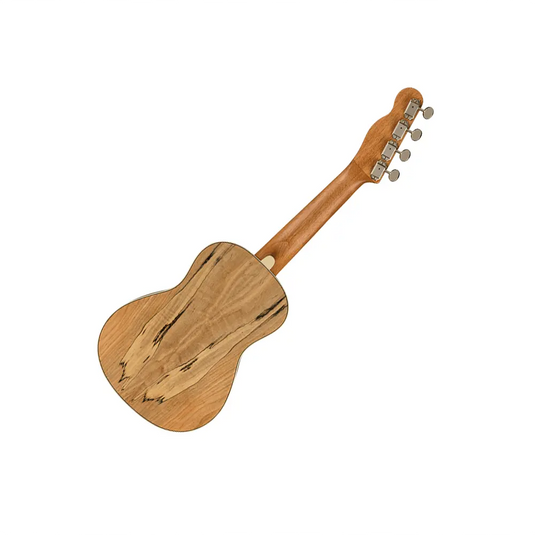 FENDER Zuma Exotic Ukulele Natural Spalted Maple Concerto
