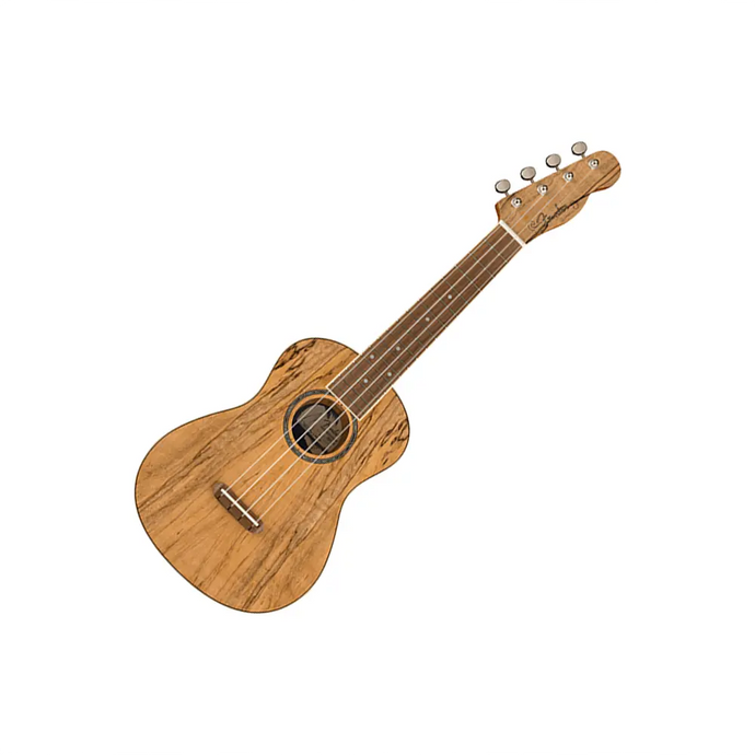 FENDER Zuma Exotic Ukulele Natural Spalted Maple Concerto