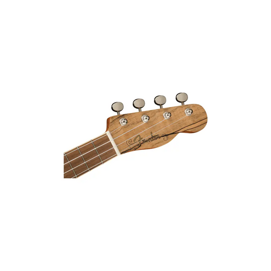 FENDER Zuma Exotic Ukulele Natural Spalted Maple Concerto