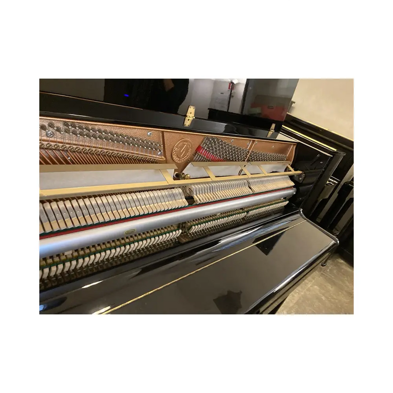 Carica immagine in Galleria Viewer, SCHULZE &amp; POLLMAN 118 *USATO*
