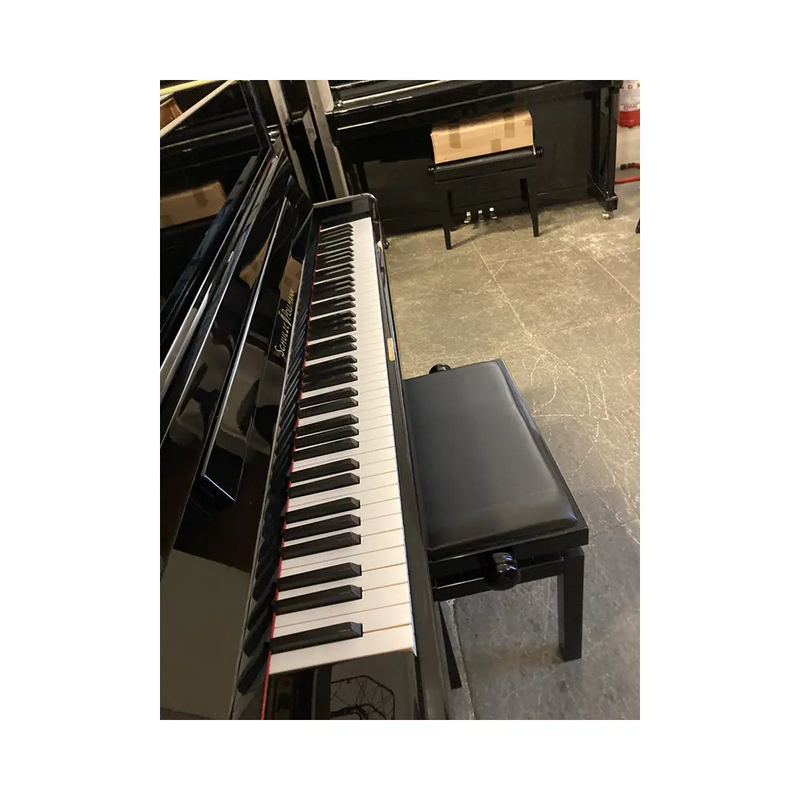 Carica immagine in Galleria Viewer, SCHULZE &amp; POLLMAN 118 *USATO*
