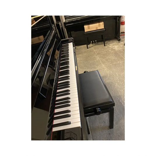 SCHULZE & POLLMAN 118 *USATO*