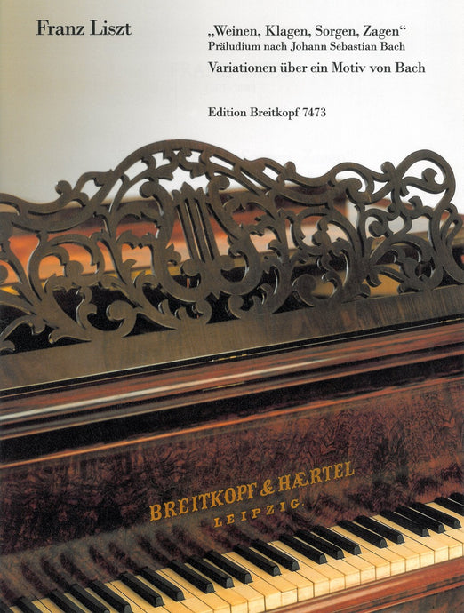 LISZT - Weinen, Klagen, Sorgen, Zagen