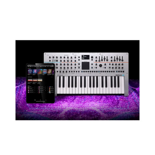 ROLAND Gaia-2