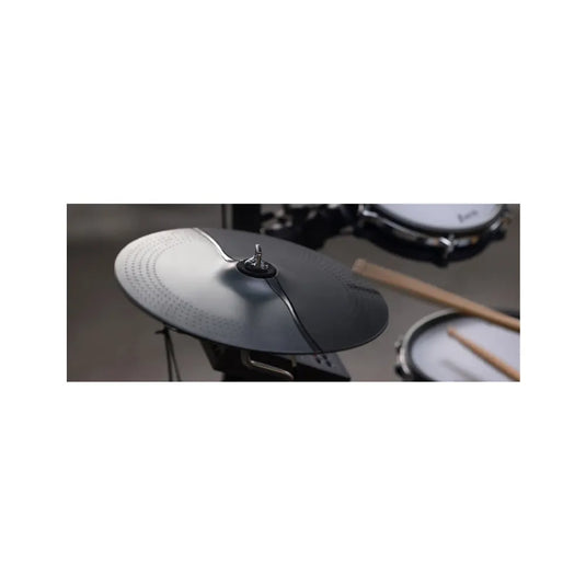 HAMPBACK ACE-310