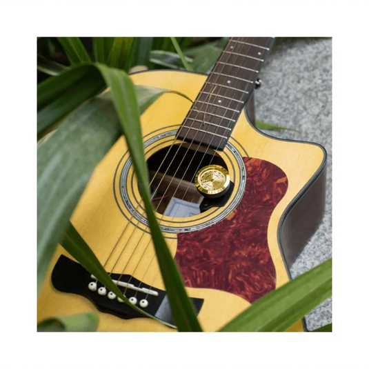 GUITTO GHD01 Umidificatore Chitarra con Igrometro