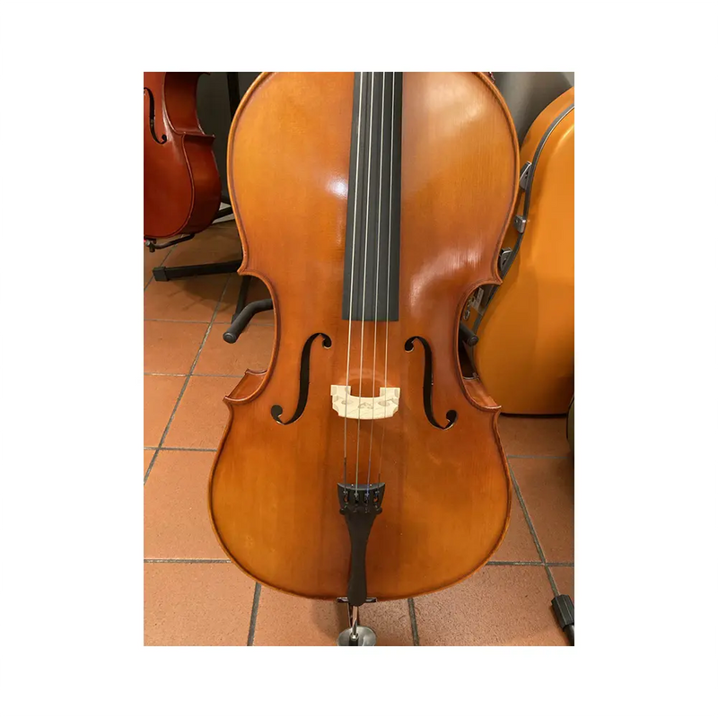 Carica immagine in Galleria Viewer, GEWA VIOLONCELLO CON BORSA E ARCO *USATO*
