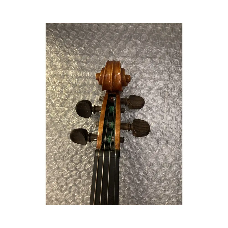 Carica immagine in Galleria Viewer, AGATONI 2020 con Astuccio VIOLINO *USATO*
