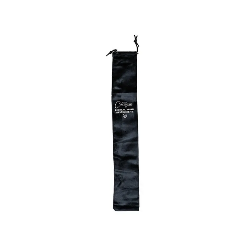 Carica immagine in Galleria Viewer, CARRY ON CO-DWI2-BK - Digital Wind Instrument 2
