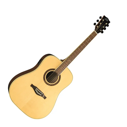EKO One D150e  Amplificata