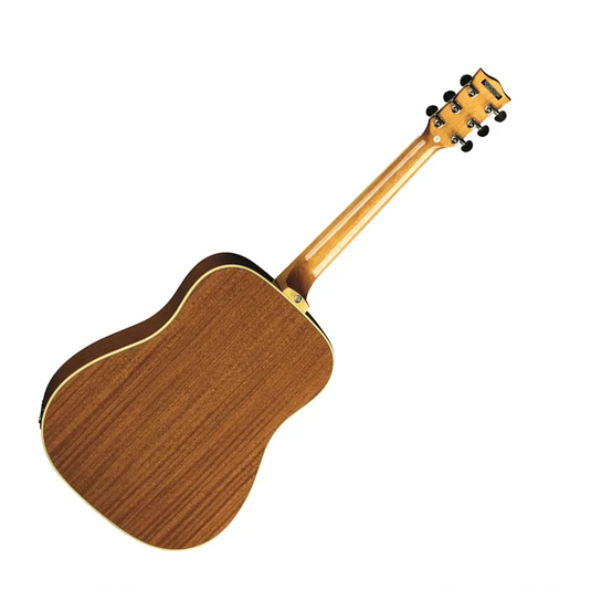 EKO One D150e  Amplificata