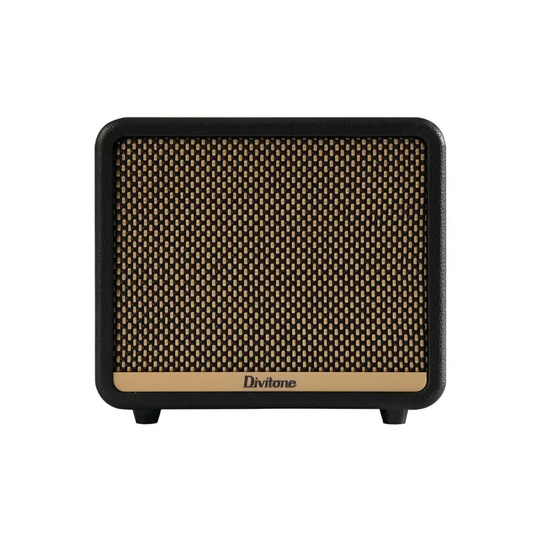 DIVITONE DAM-10BK DIGITAL AMP