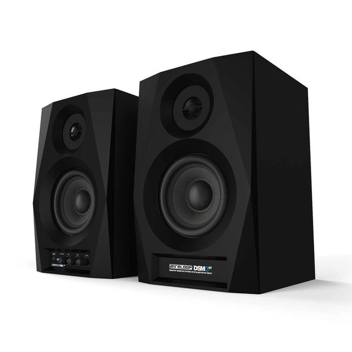 RELOOP - Dsm-3 Bt