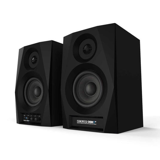 RELOOP - Dsm-3 Bt