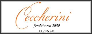 Noleggio Torre a Cona