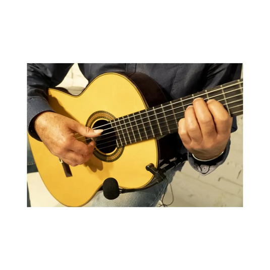 AUDIO DESIGN PRO PA MAG Microfono per Chitarre Acustiche/Classiche